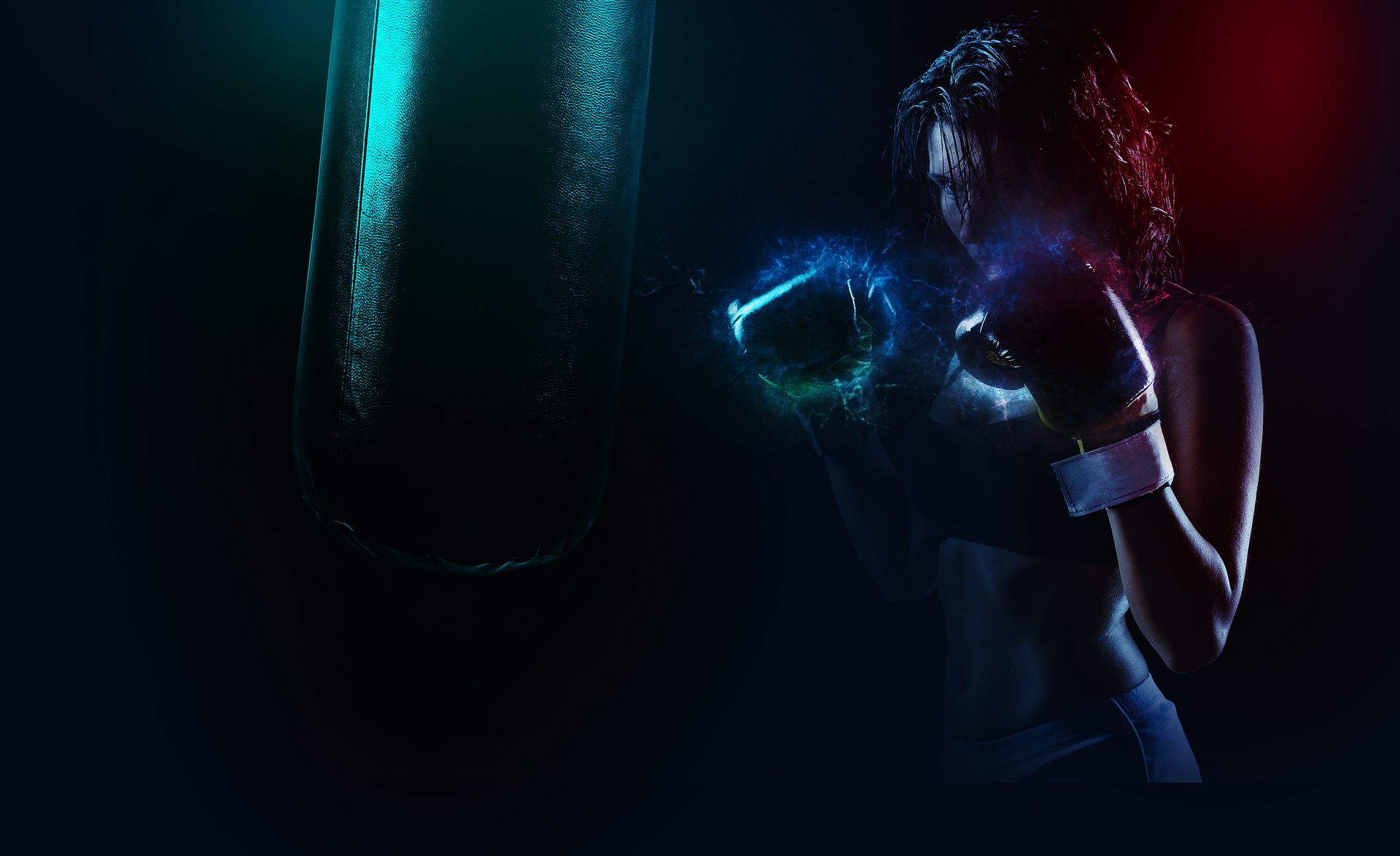 boxer-1984344_1920